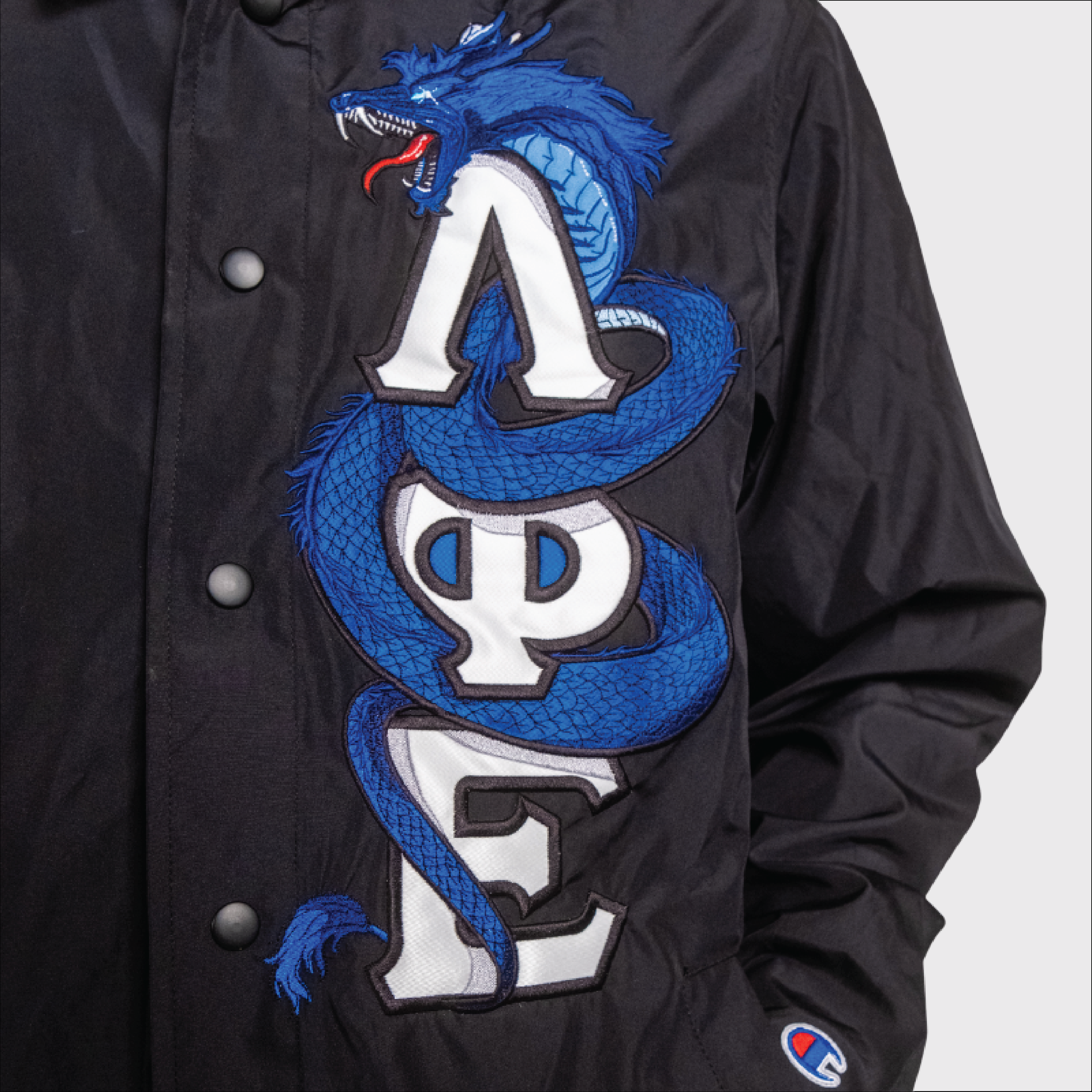 Lambda Phi Epsilon Dragon Line Jacket